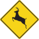 How to lower your risk for a deer collision in Santa Fe Springs, CA